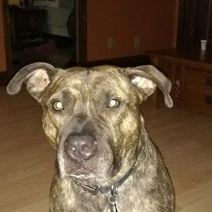 Meet your Posher, Seth